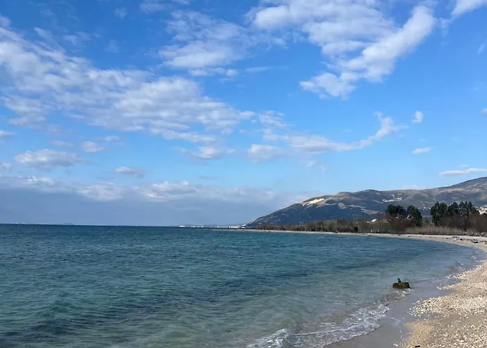 Apartament Flat In *